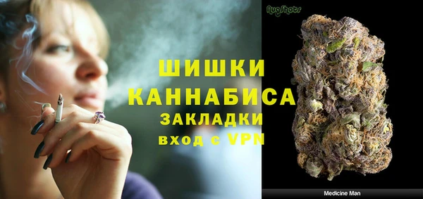 хмурый Богородск