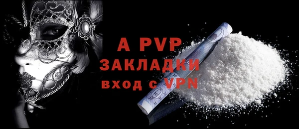 твердый Богданович