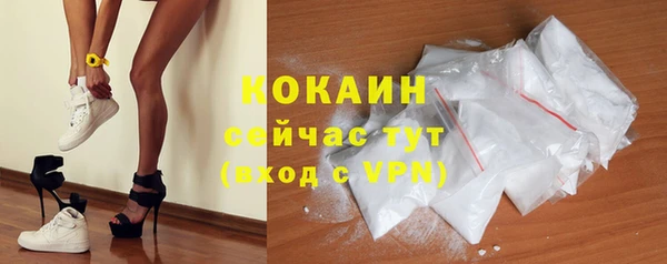 твердый Богданович