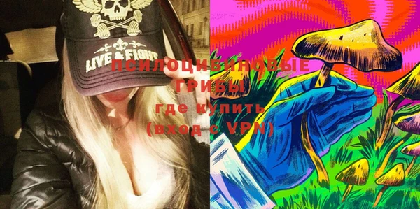гидропоника Богородицк