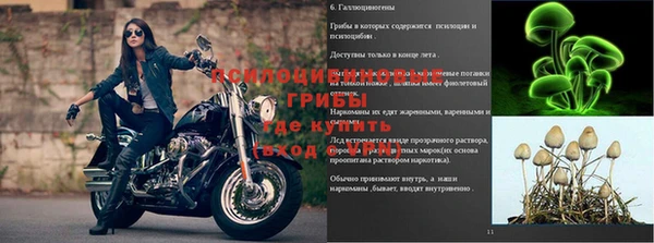 хмурый Богородск