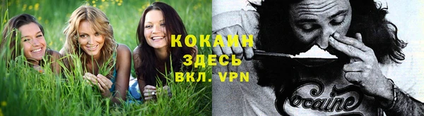 твердый Богданович