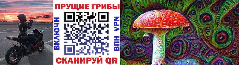 kraken маркетплейс  купить  цена  Новая Усмань  Галлюциногенные грибы прущие грибы 